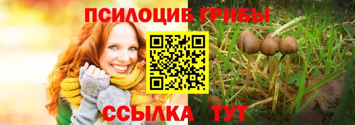 Псилоцибиновые грибы прущие грибы  Галлюциногенные грибы ЛСД  Донской  Вход с VPN 